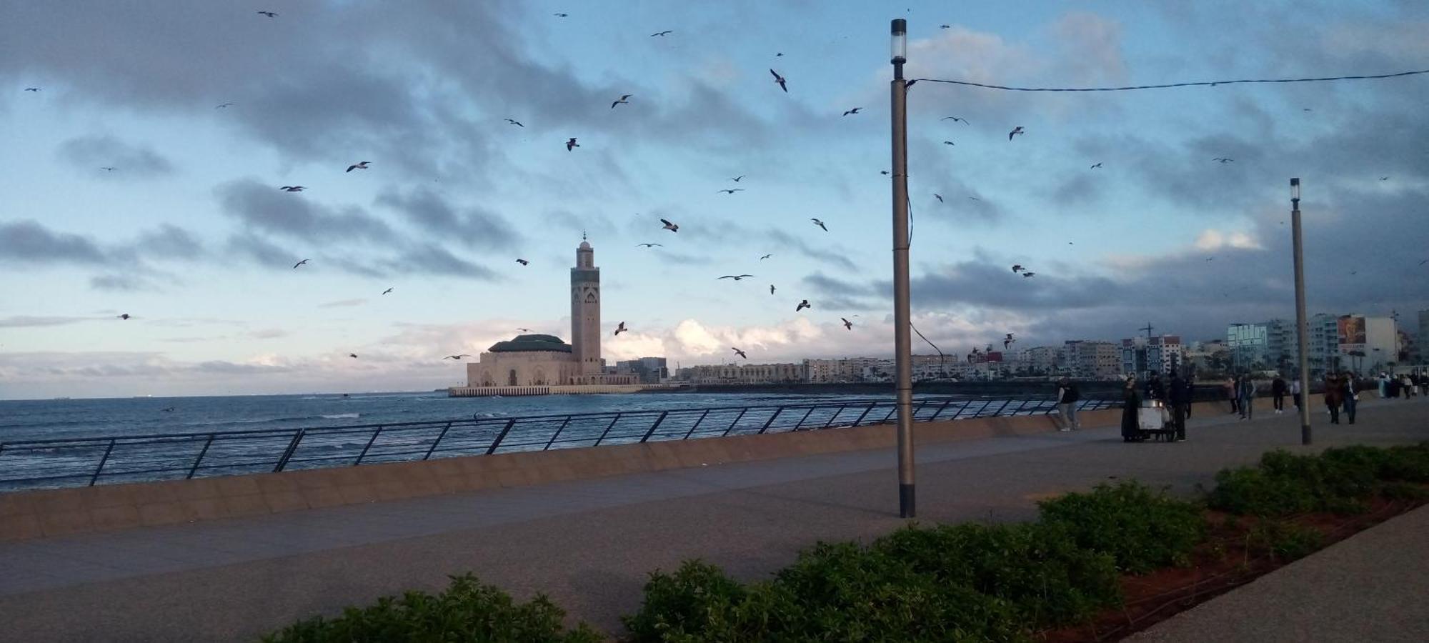 Moroccan Teguemi Casablanca Luaran gambar